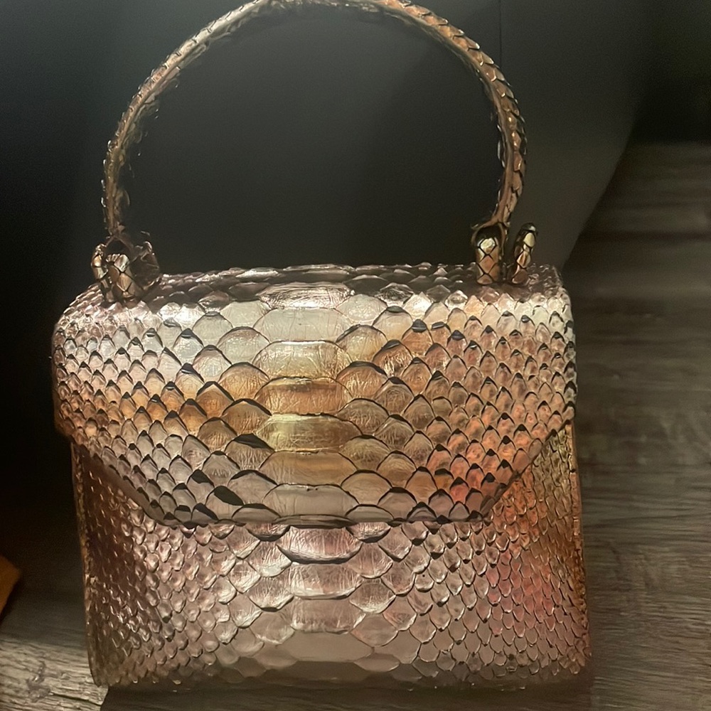 Nancy Gonzalez python mini